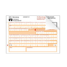 SEPA-Überweisung, 2-fach, mit Markenzeichen und Bankeindruck (mit Lagerbestand)